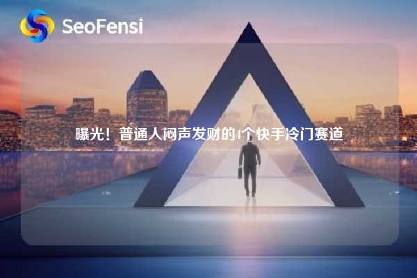 曝光!普通人闷声发财的4个快手冷门赛道 第1张 曝光!普通人闷声发财的4个快手冷门赛道 第1张